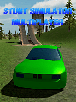 Affiche du film Stunt Simulator Multiplayer poster