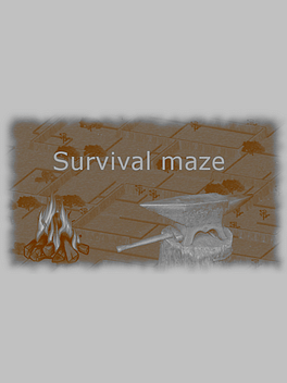 Affiche du film Survival Maze poster