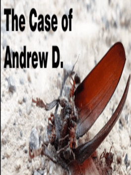 Quelle configuration minimale / recommandée pour jouer à The Case of Andrew D. ?