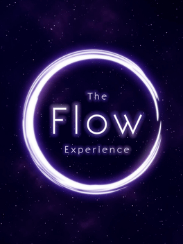 Affiche du film The Flow Experience poster