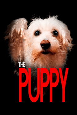 Quelle configuration minimale / recommandée pour jouer à The Puppy ?