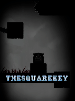 Affiche du film The Square Key poster