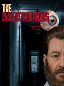 Quelle configuration minimale / recommandée pour jouer à The Undergrounders ?