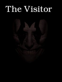 Affiche du film The Visitor poster