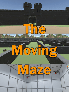 Affiche du film TheMovingMaze poster