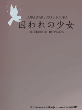 Affiche du film Toraware no Shoujo: Bluebird of Happiness poster