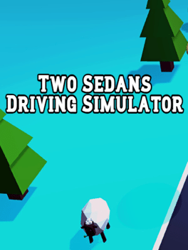 Affiche du film Two Sedans Driving Simulator poster