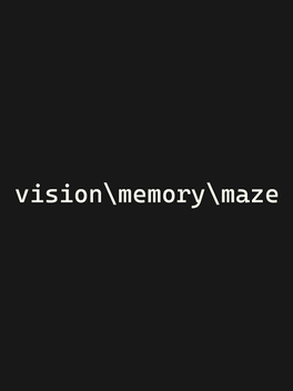 Affiche du film Vision Memory Maze poster