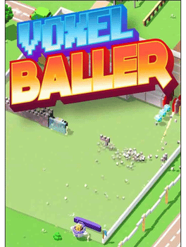 Affiche du film Voxel Baller poster