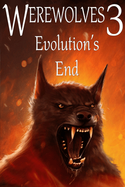 Quelle configuration minimale / recommandée pour jouer à Werewolves 3: Evolution's End ?