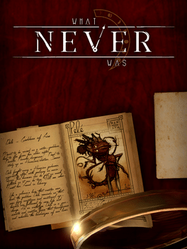 Affiche du film What Never Was poster