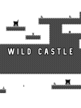 Quelle configuration minimale / recommandée pour jouer à Wild Castle ?