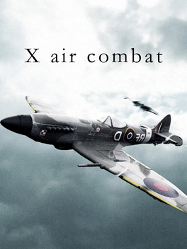 Affiche du film X Air Combat poster